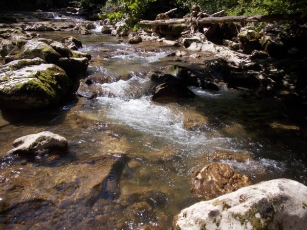 La rivière dans son canyon