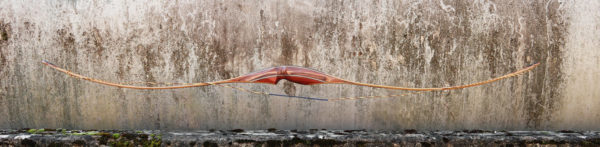 "Tornado" Longbow hybride 60" – Image 2