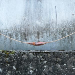 "Tornado" Longbow hybride 60"