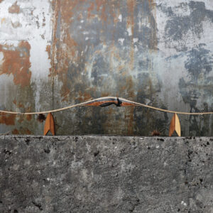 Longbow Rarog White Feather
